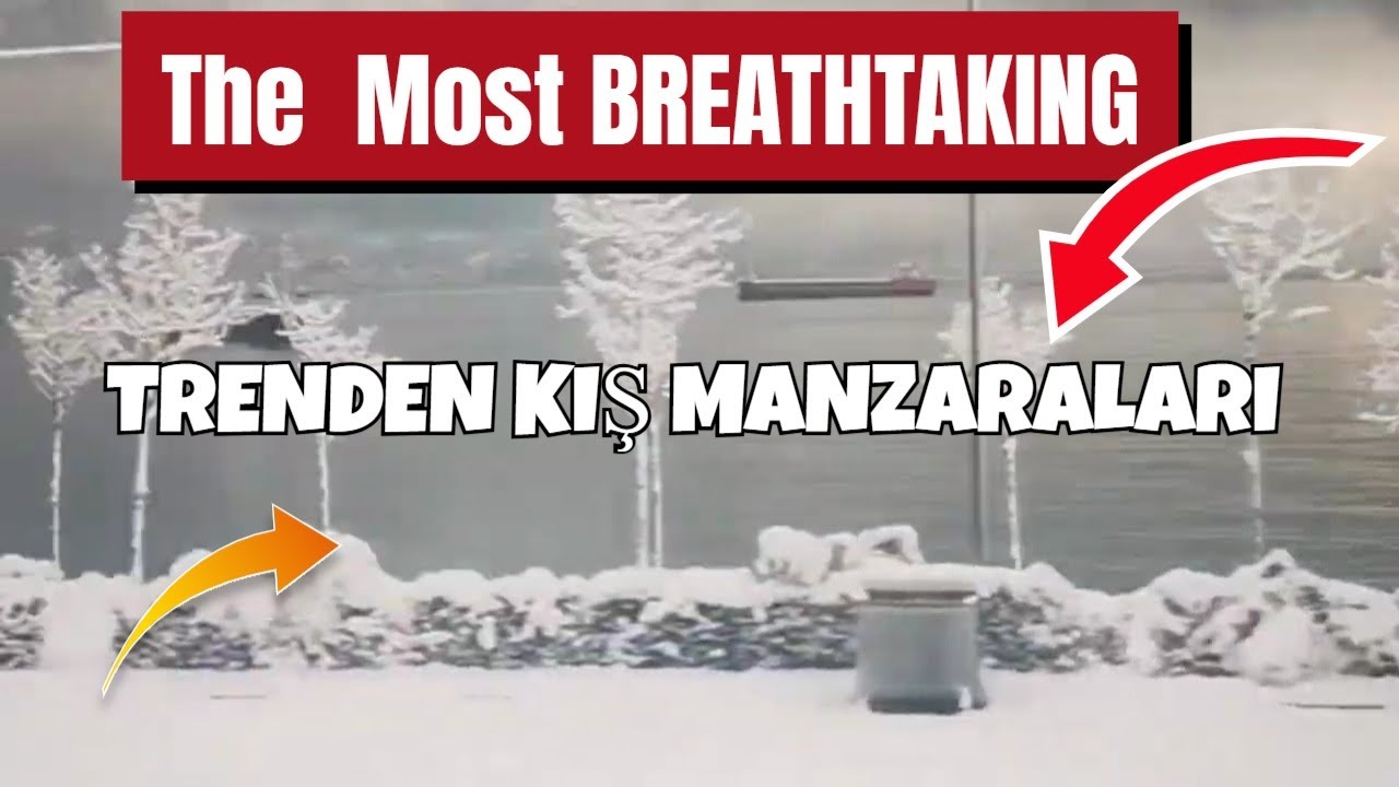 The  Most BREATHTAKING Winter Train Rides You Won't Believe