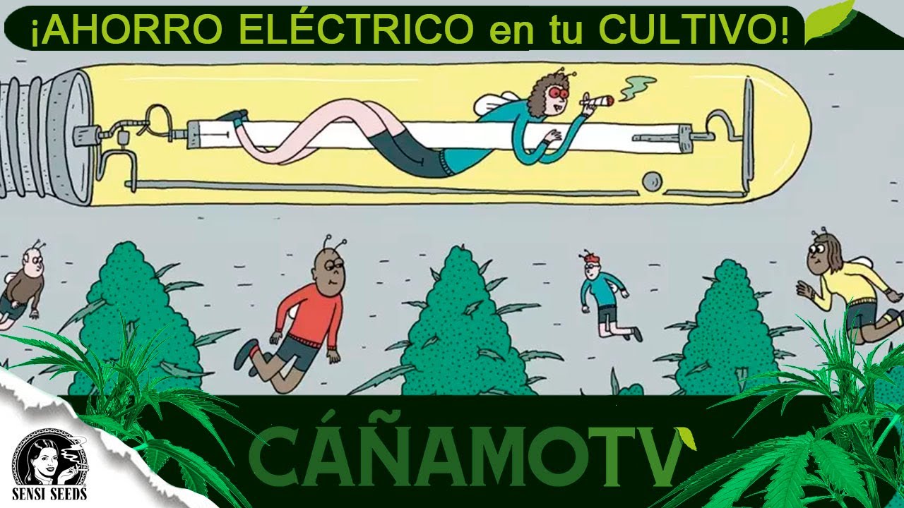&iexcl;AHORRA ELECTRICIDAD en tu CULTIVO con estos TRUCOS!