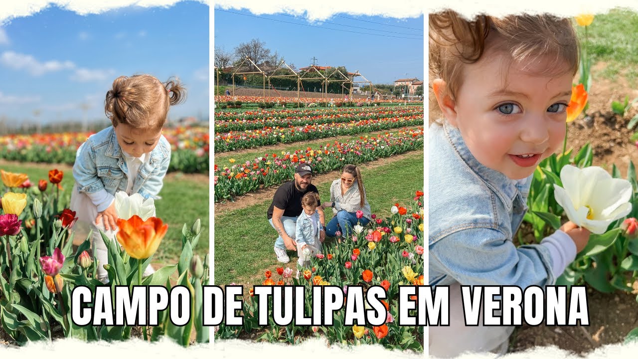 É PRIMAVERA NA ITÁLIA! SAIBA COMO FUNCIONA O CAMPO DE TULIPAS EM VERONA