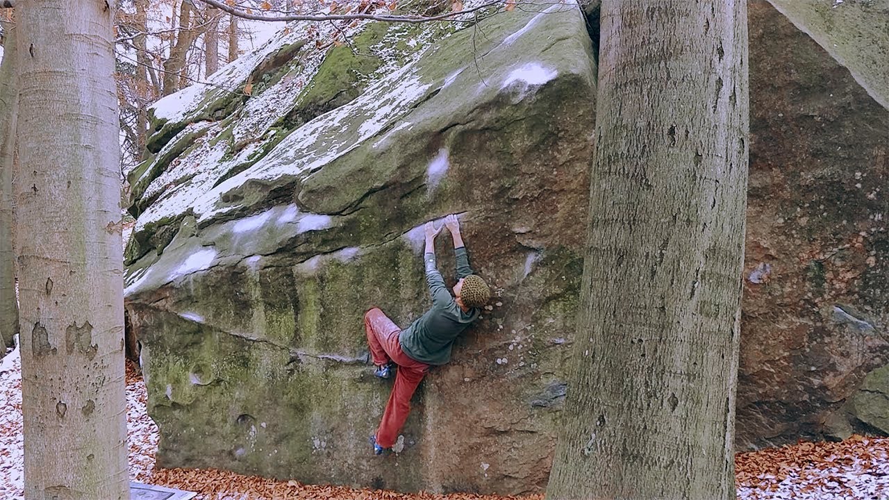 Návrat krále 8A, Chřiby