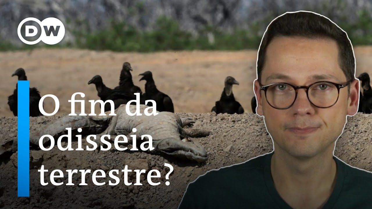 A sexta extin&ccedil;&atilde;o em massa j&aacute; come&ccedil;ou: o que nos espera?