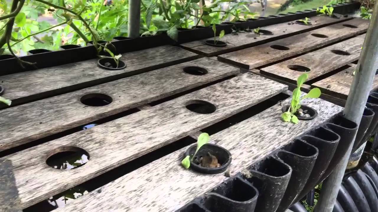 Biogarden DWC Deep Water Culture, Flood and Drain