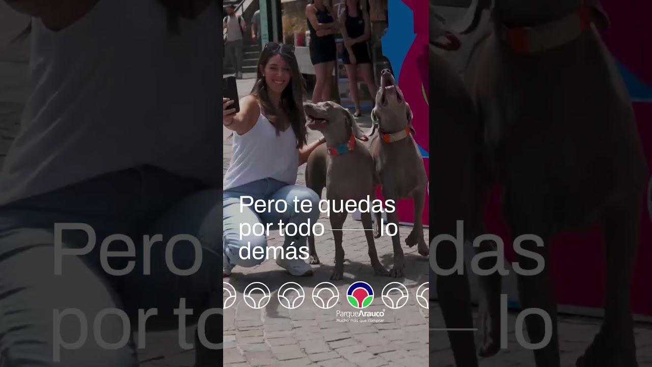 Vienes por un rato y te quedas toda la tarde