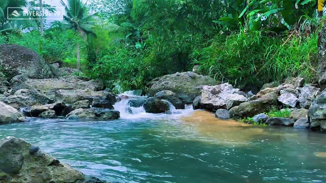 Mountain River Flowing Sounds 24/7 for Sleeping | Nature Water Sounds White Noise for Relaxation #5