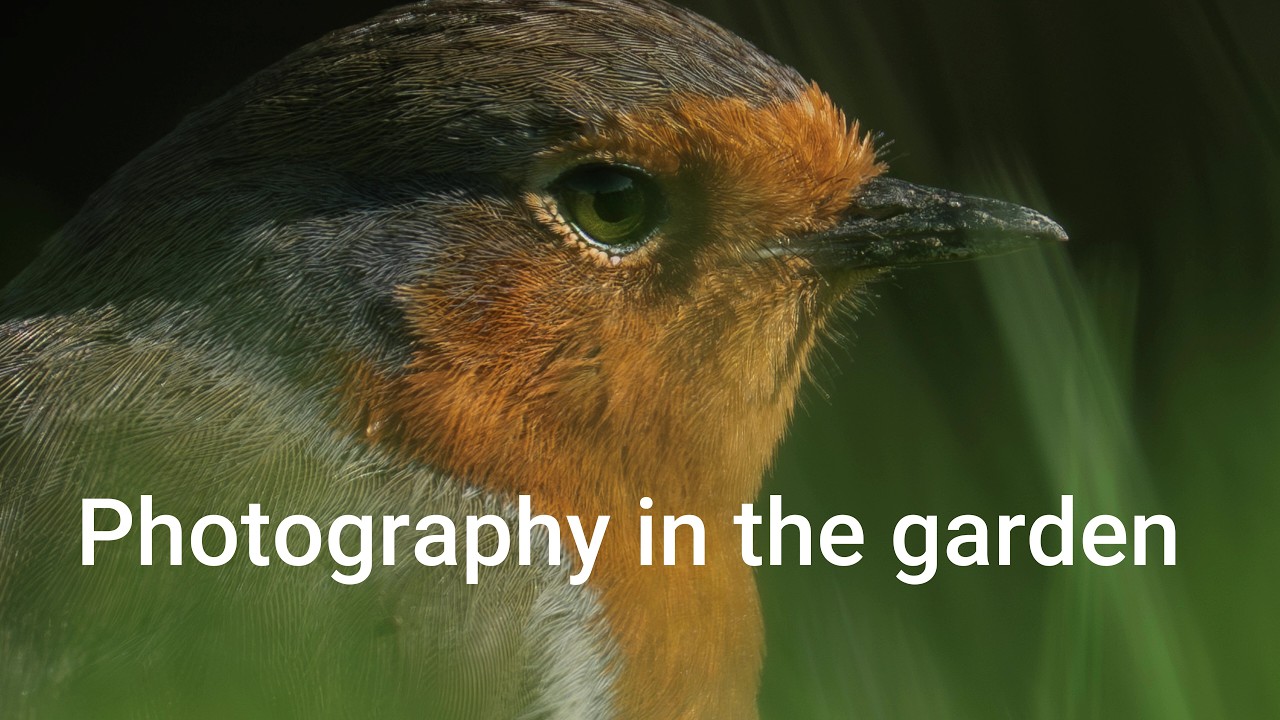 Photography in the garden