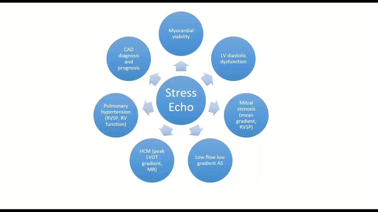 Stress Echocardiography: Principles of Ischemia Evaluation and Clinical Cases