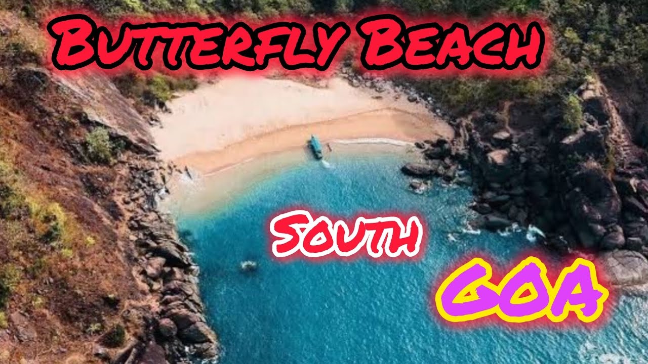 #Butterfly beach🏖#southgoa #hiddengems #dolphin 🐬 watching#beachvibes 😍😍#goatourism 