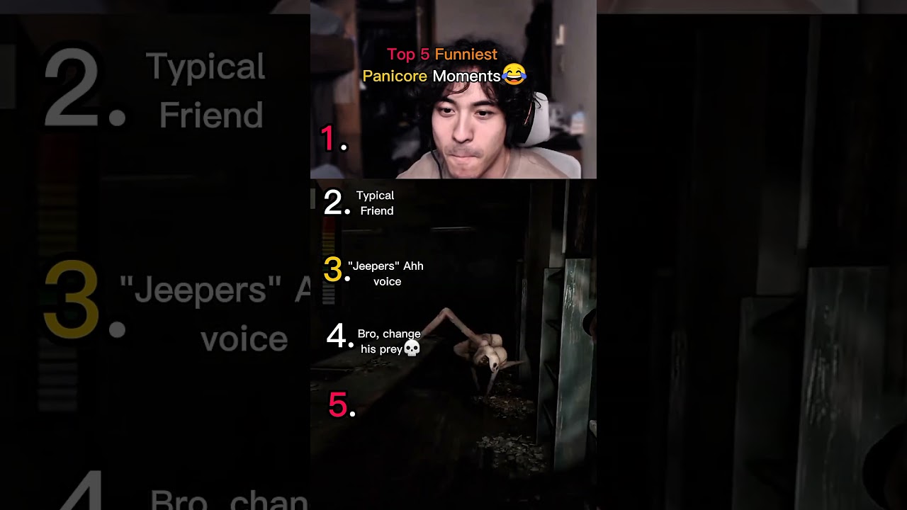 Top 5 Funniest Panicore Moments