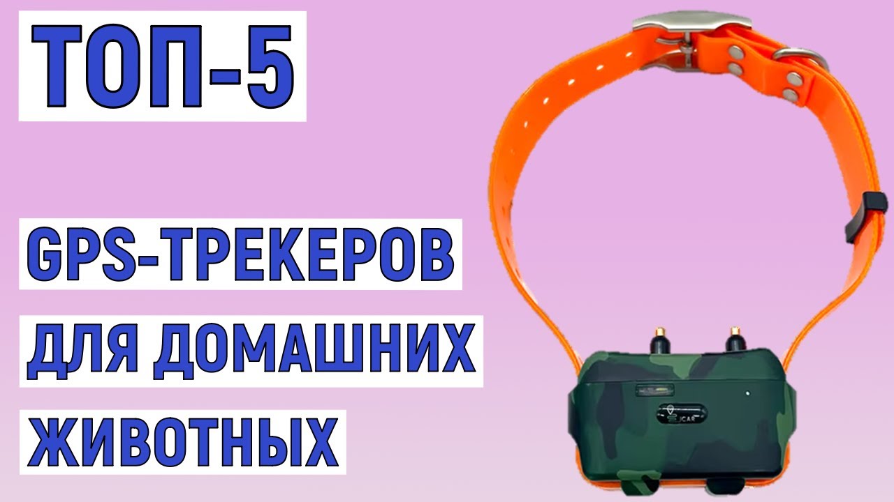 ТОП-5. Лучших GPS-трекеров для домашних животных с AliExpress. Рейтинг