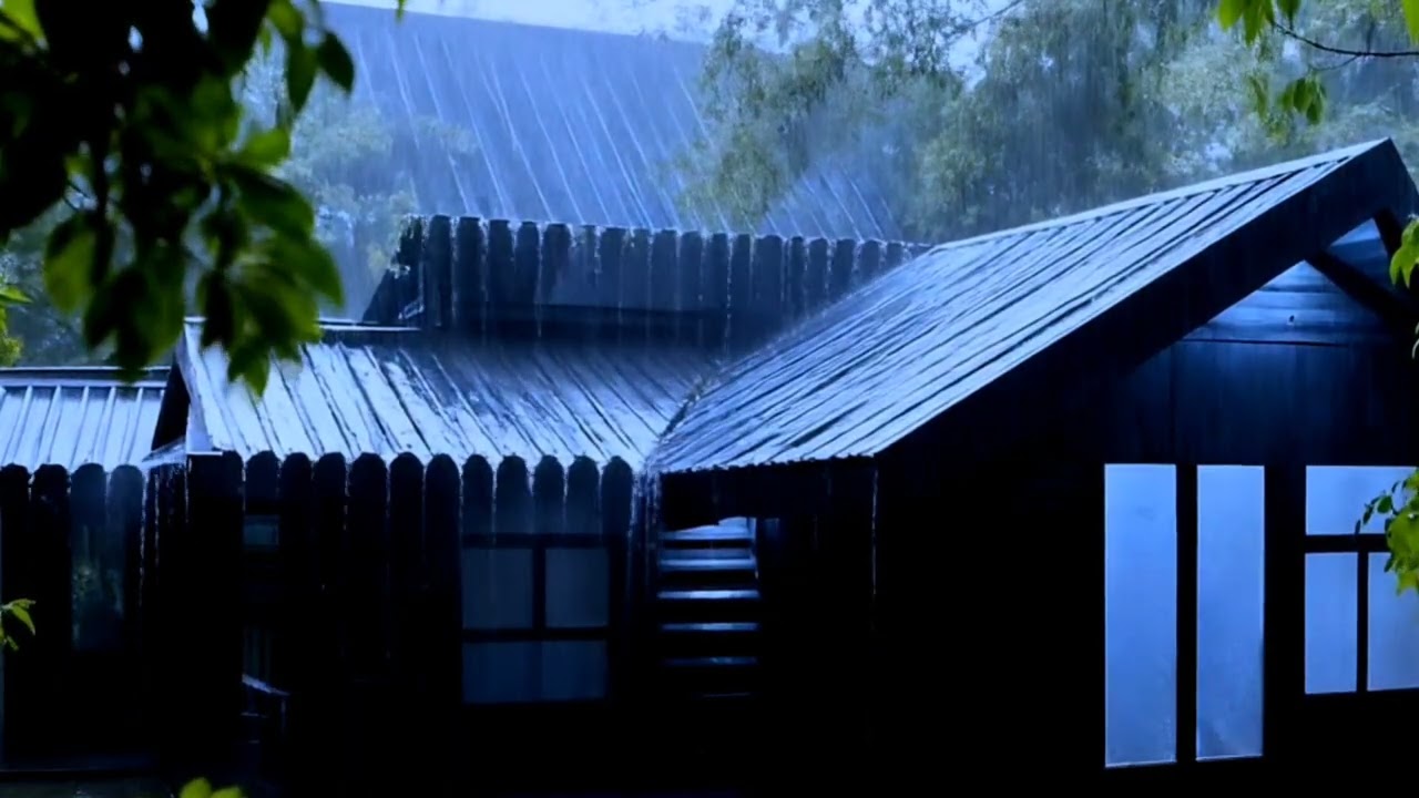 Goodbye Insomnia with Heavy Rain & Thunder Growls on a Stale Tin Roof in Foggy Murky Forest at Night