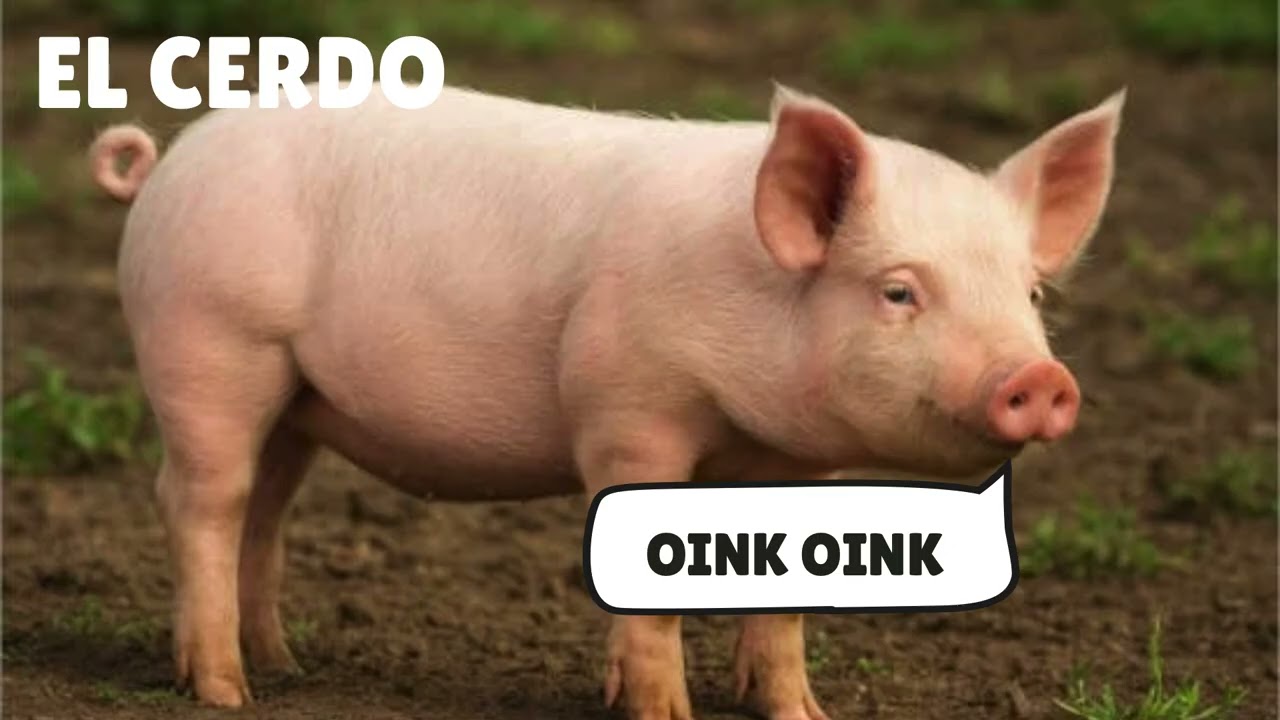 APRENDE LOS ANIMALES DE LA GRANJA