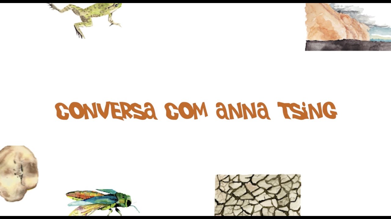 Conversa Anna Tsing - LEEA