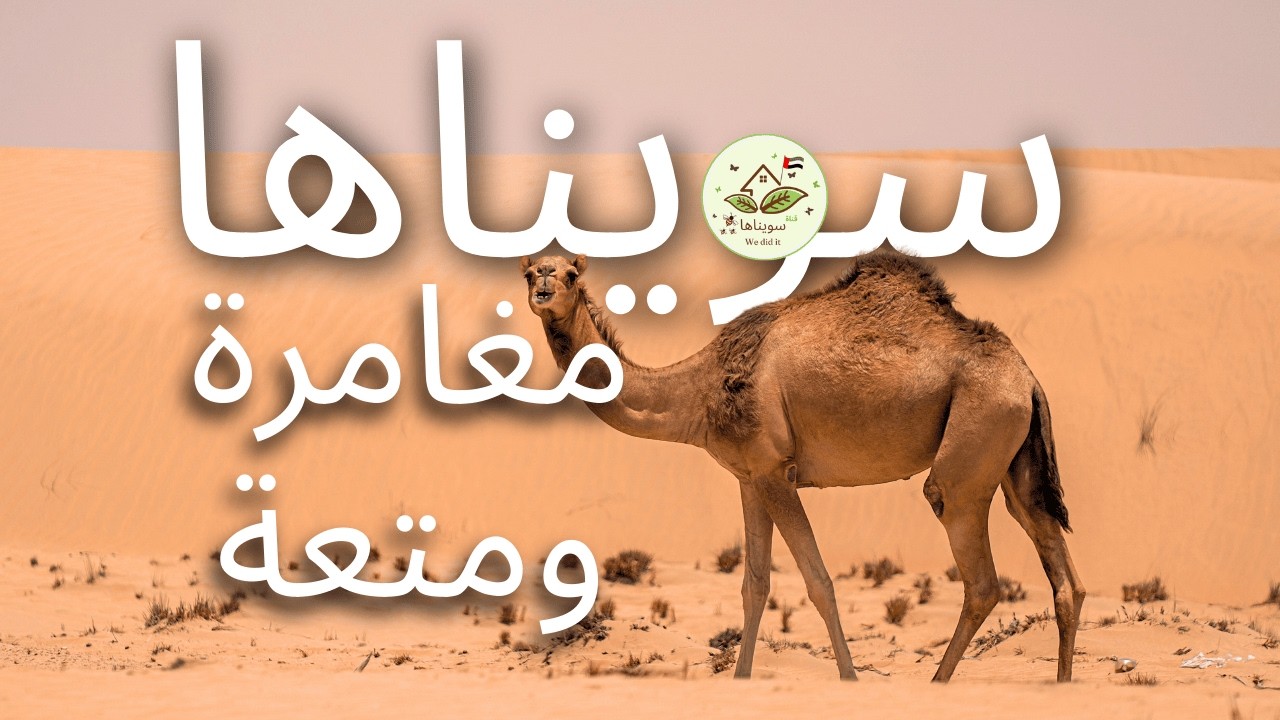 يوم بسيط… متعة حقيقية في الصحراء | سويناها – Pure Family Fun