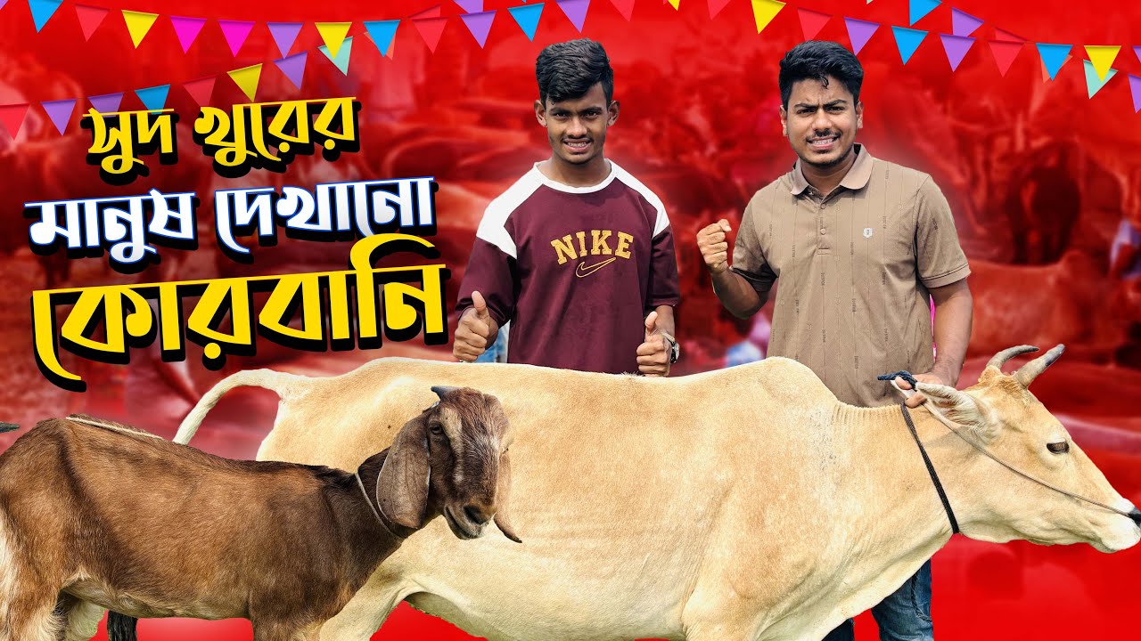 সুদের টাকায় কেমন কোরবানি হয়।