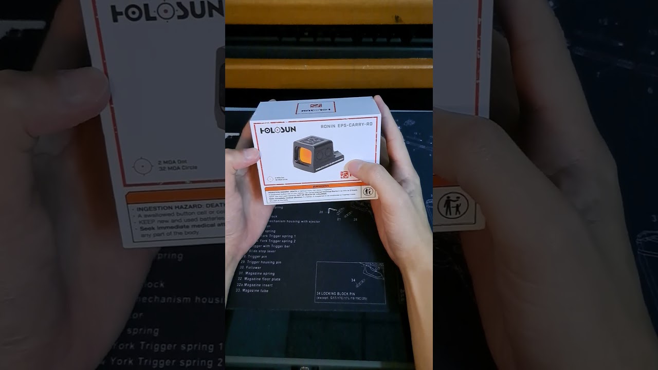 Holosun Ronin EPS carry