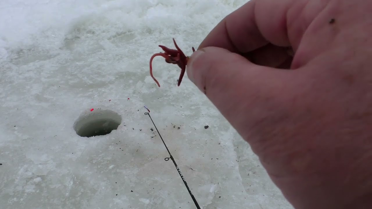 07.02.2026 Дмитренківьке водосховище.