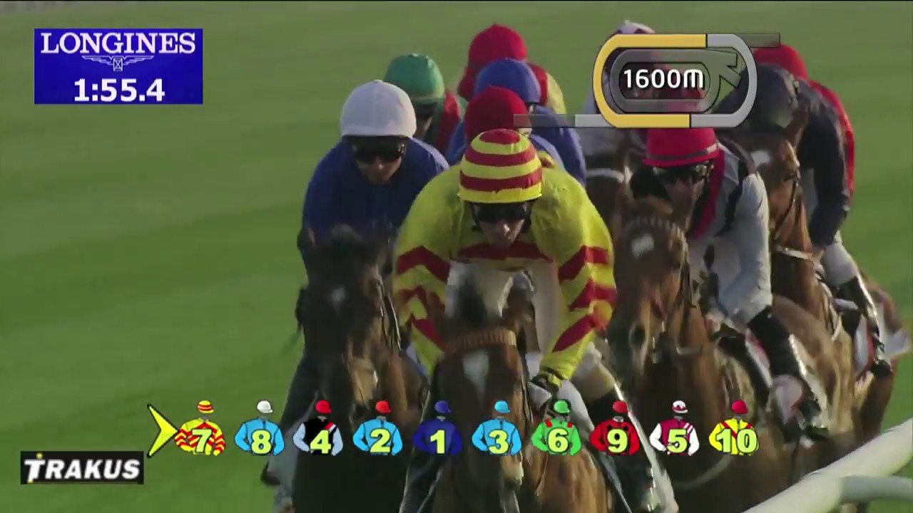 Race 3 - Dubai Gold Cup Sponsored By Al Tayer Motors