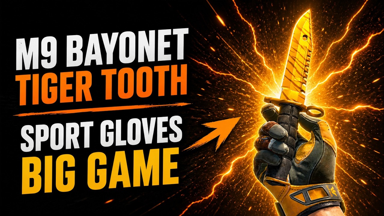 M9 Bayonet Tiger Tooth + Sport Gloves Big Game CS2 Combo Showcase