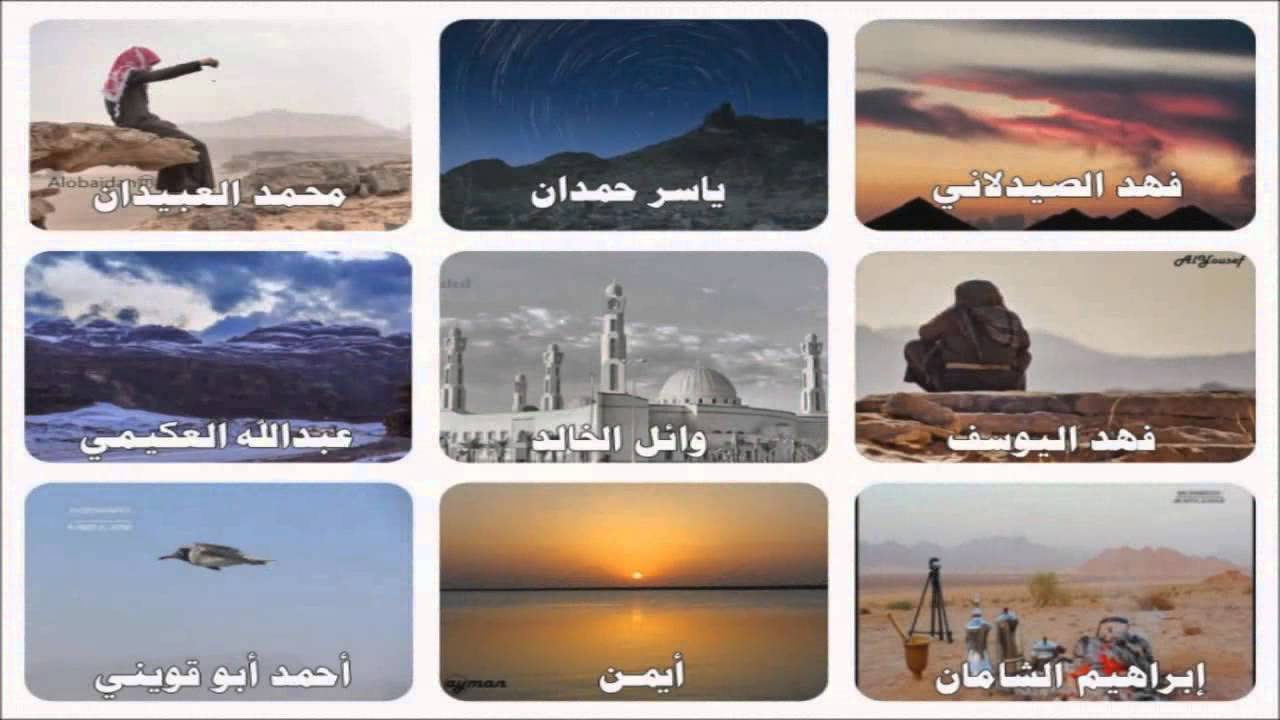 تبوك : الـورد