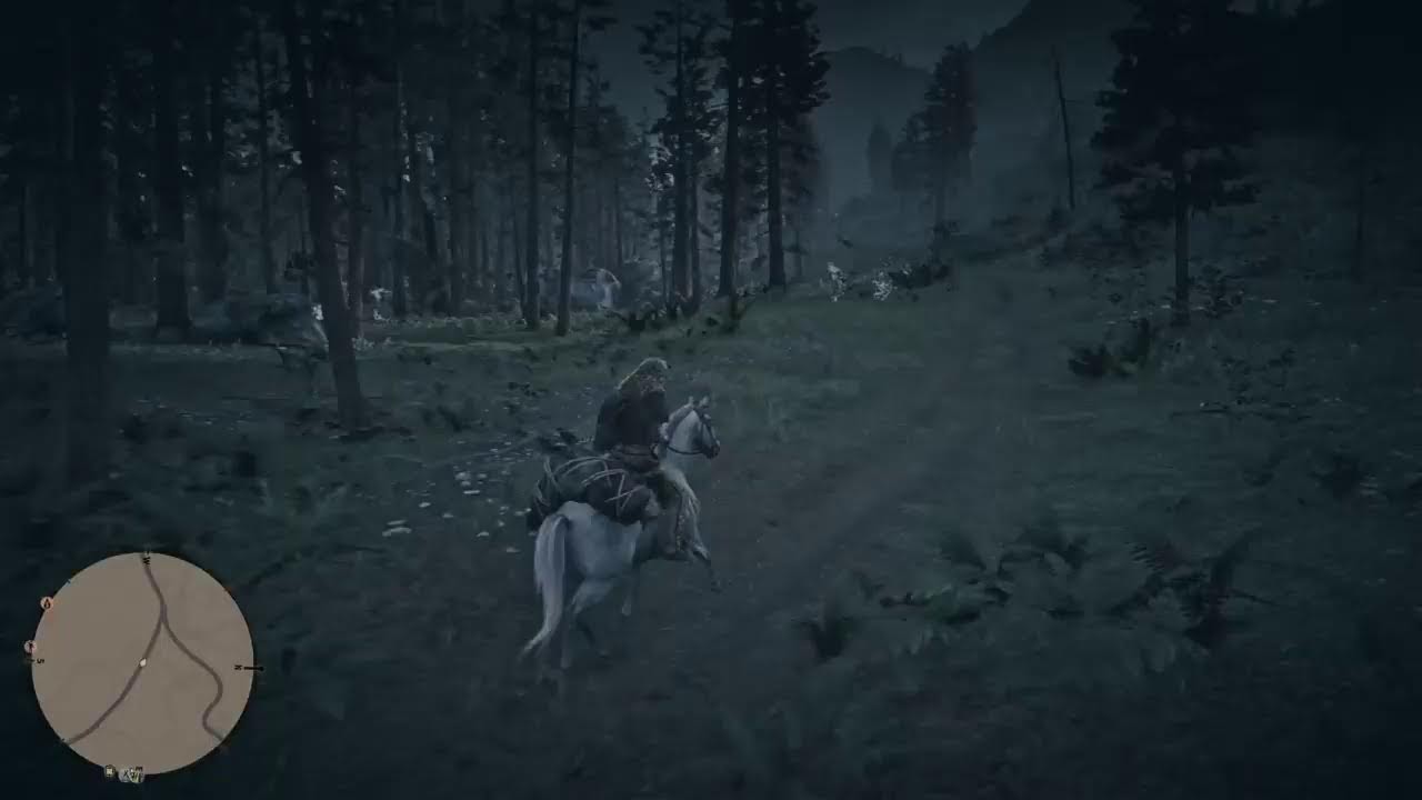RDR 2 OLINE: TRYING TO REACH LEVEL 50!!