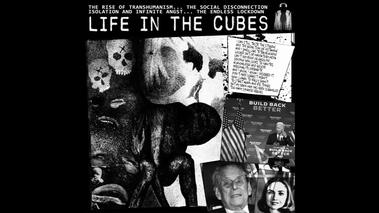 Randy Prozac - Life In The Cubes