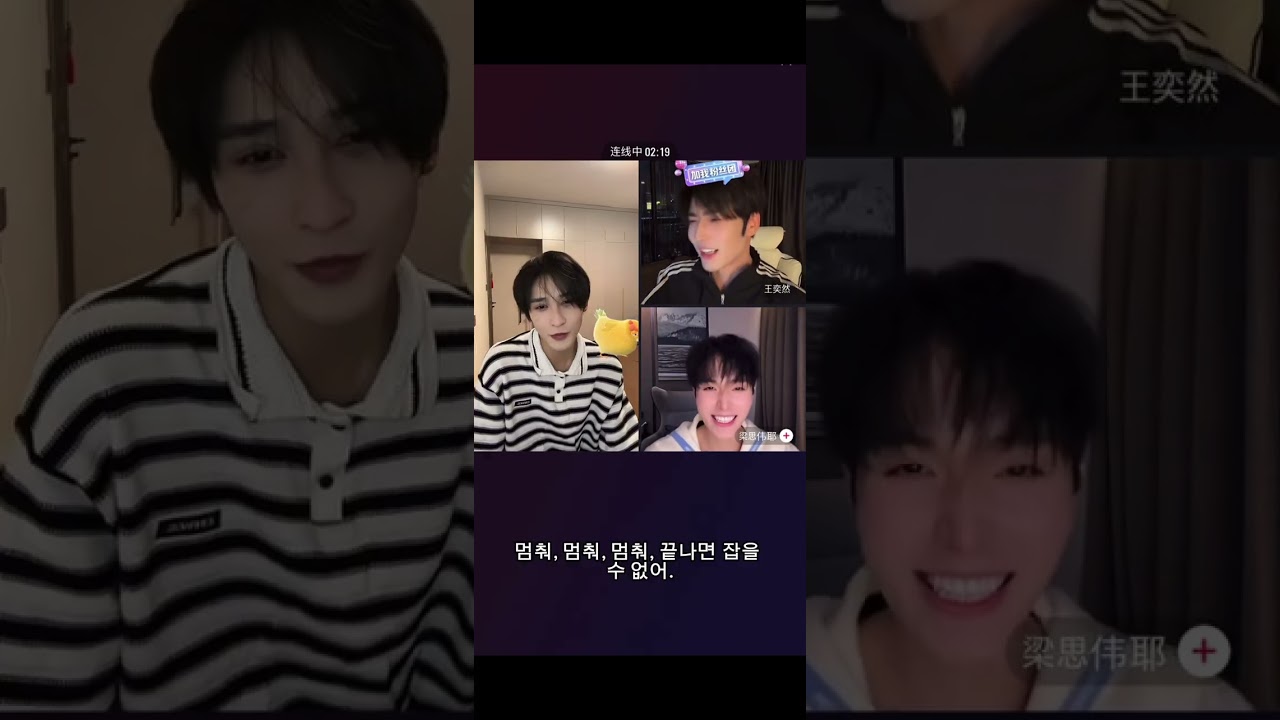 신호남 왕이란 양사위 단미양 라이브 방송 (26/02/19)