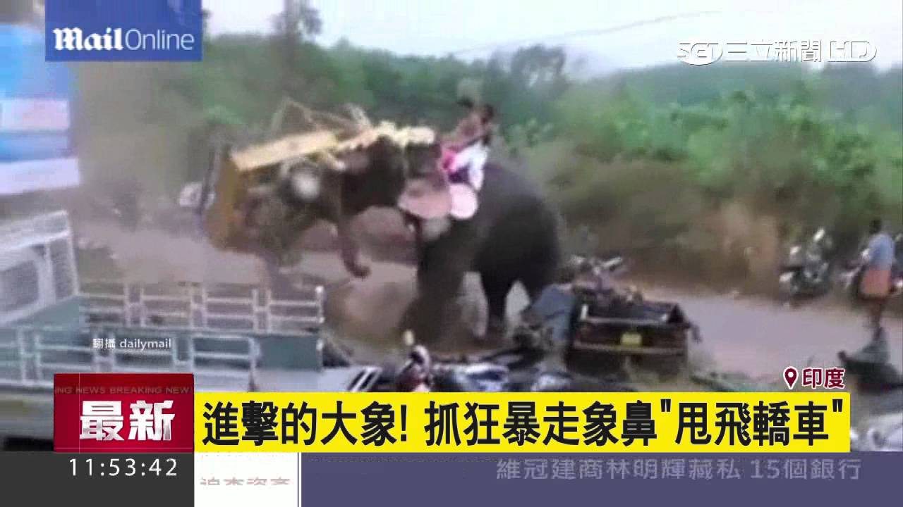 進擊的大象！抓狂暴走象鼻「甩飛轎車」｜三立新聞台