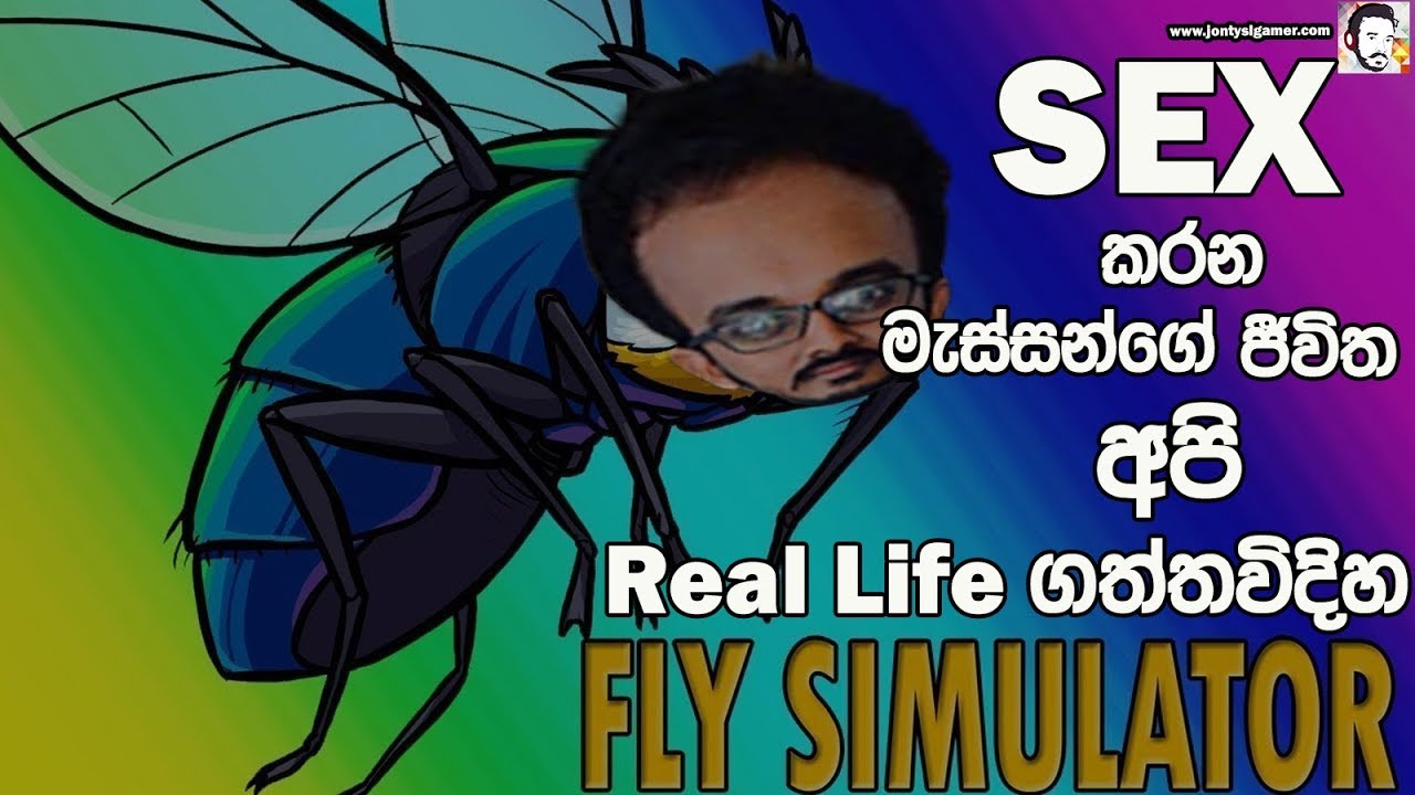 Fly Simulator Ft Lion Kolla | Chabhi | ManiYa | GTX 1070