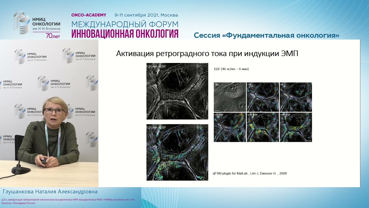 Эпителиально-мезенхимальный переход-программа инвазии  и метастазирования опухолевых клеток.