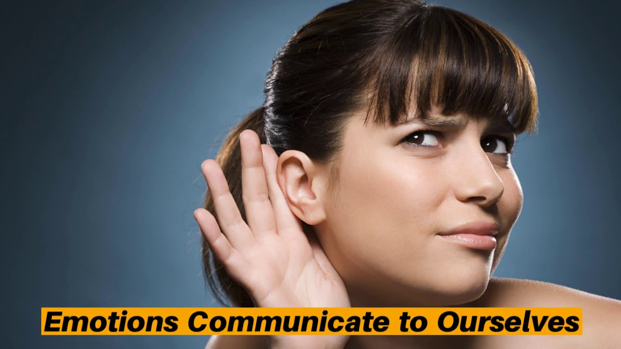 DBT Function of Emotions