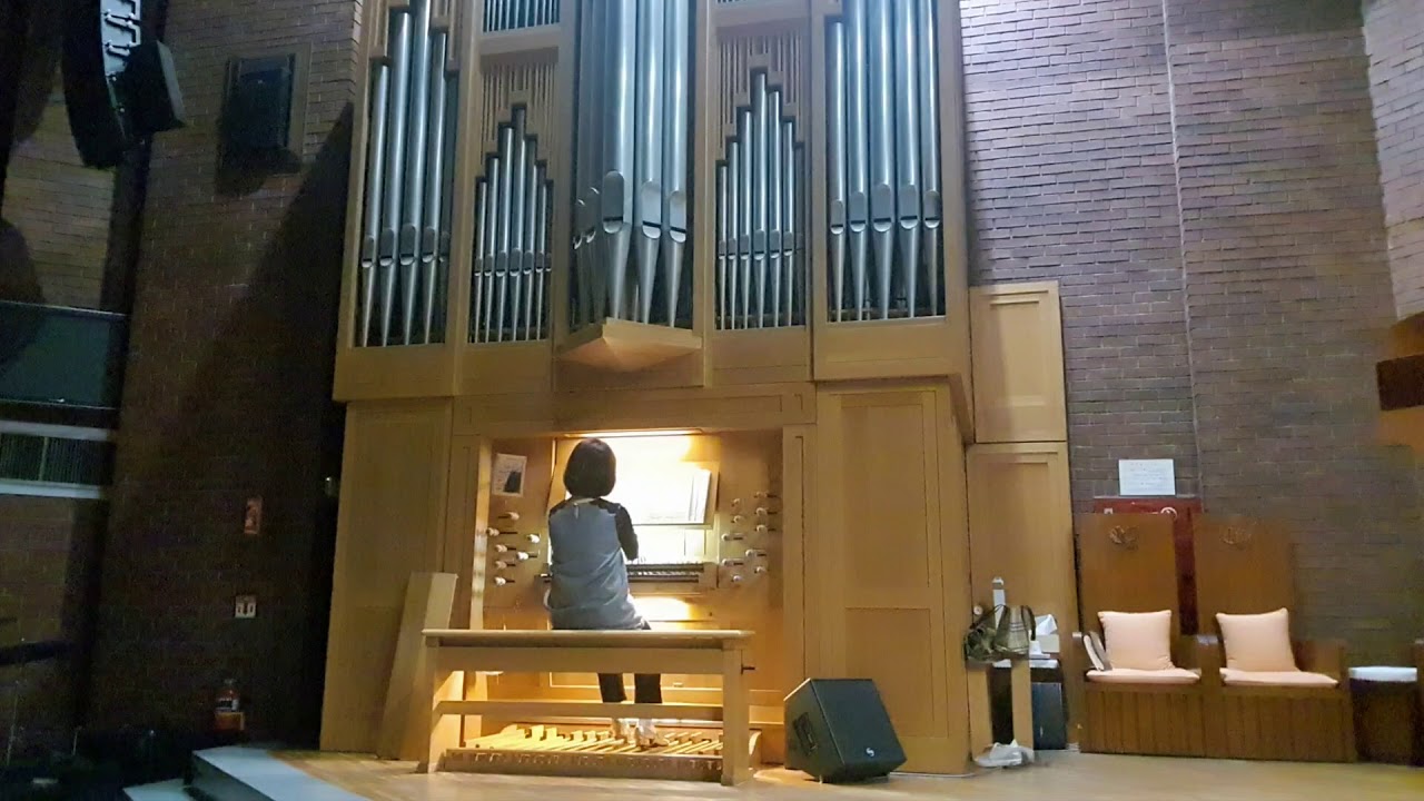 Son of God, Eternal Savior      