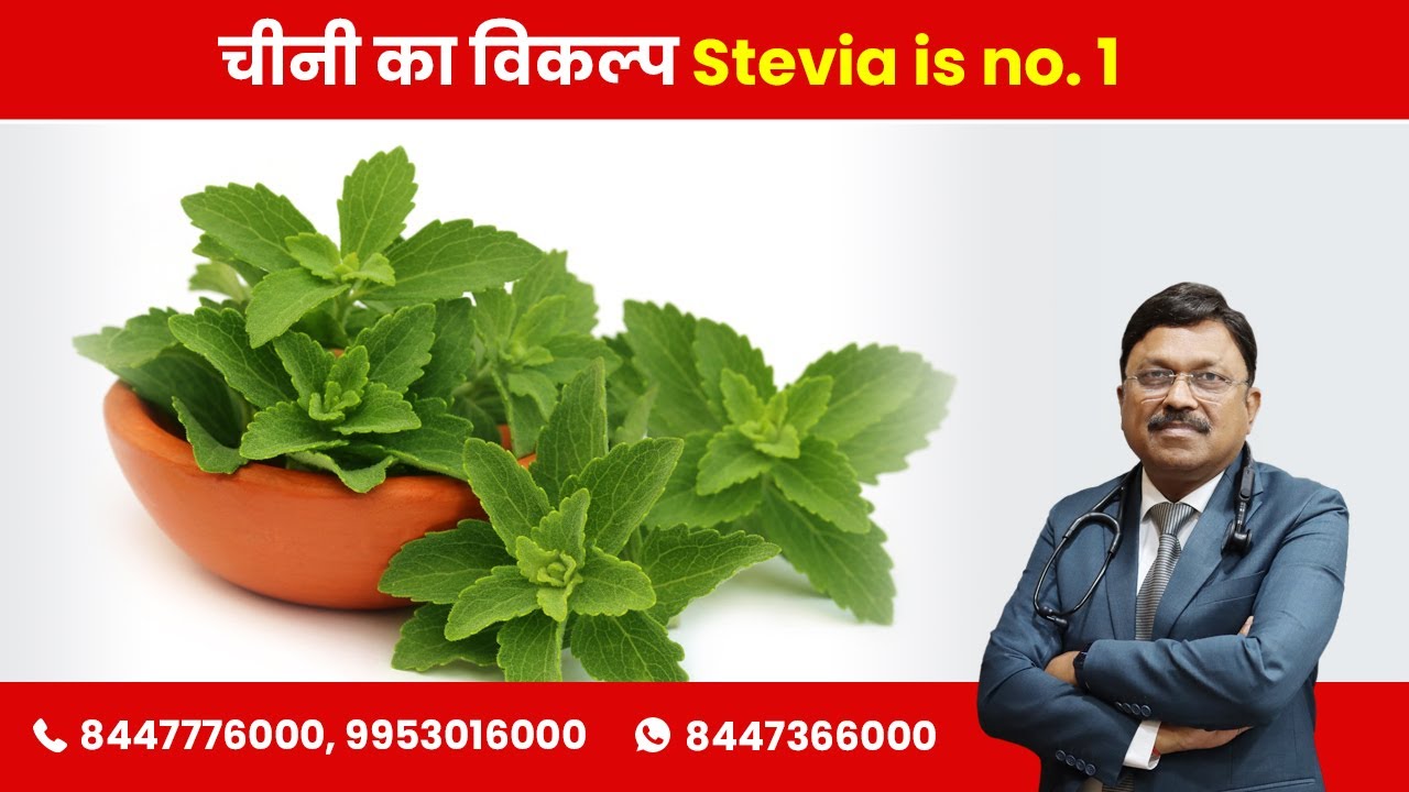 Artificial Sweetener : Substitute of Sugar STEVIA | By Dr. Bimal Chhajer | Saaol