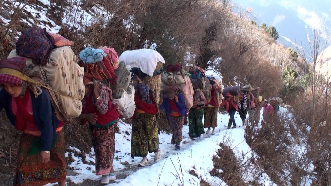 the way into the snow || Nepal || himalayan life || village life || lajimbudha ||