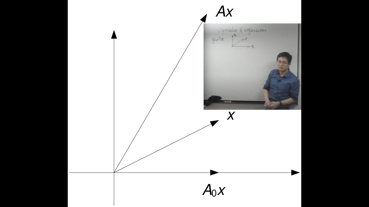 Intuitions About Eigenvalues and Eigenvectors – A Visual Guide 🎥