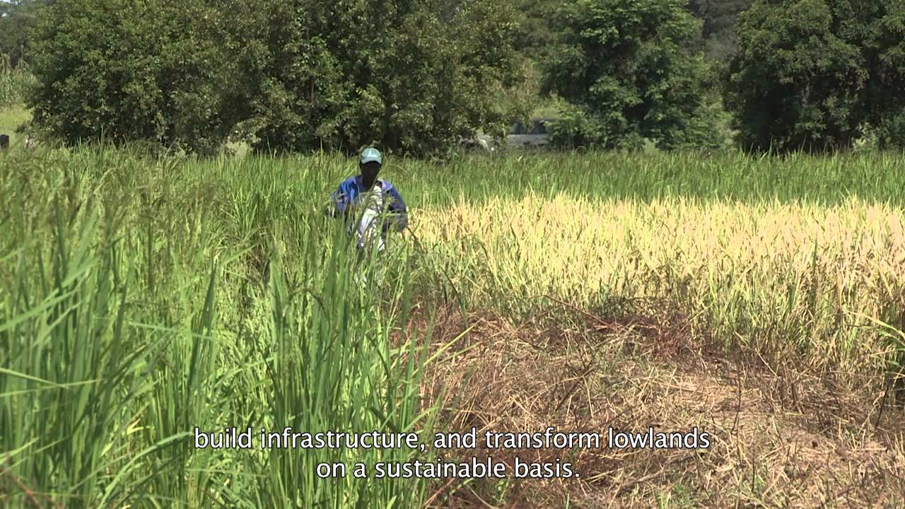 AFD in Ghana, 30 years of partnership