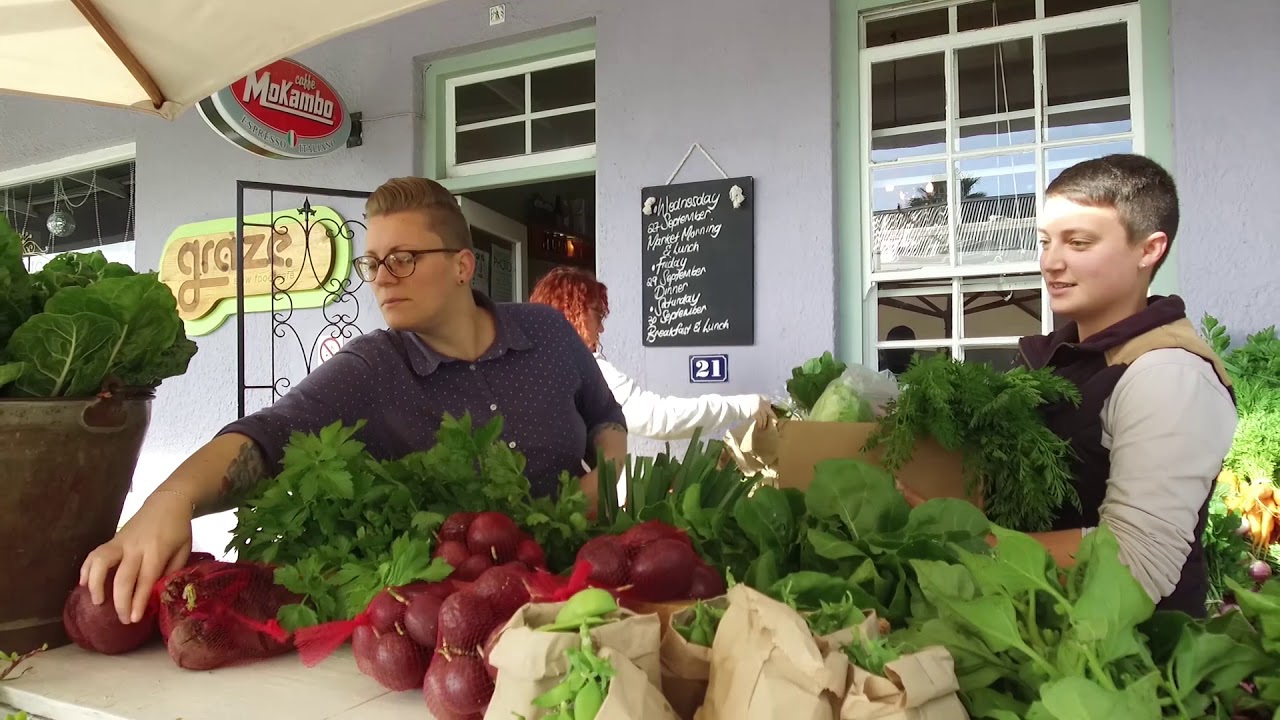 A taste of village markets in Stanford