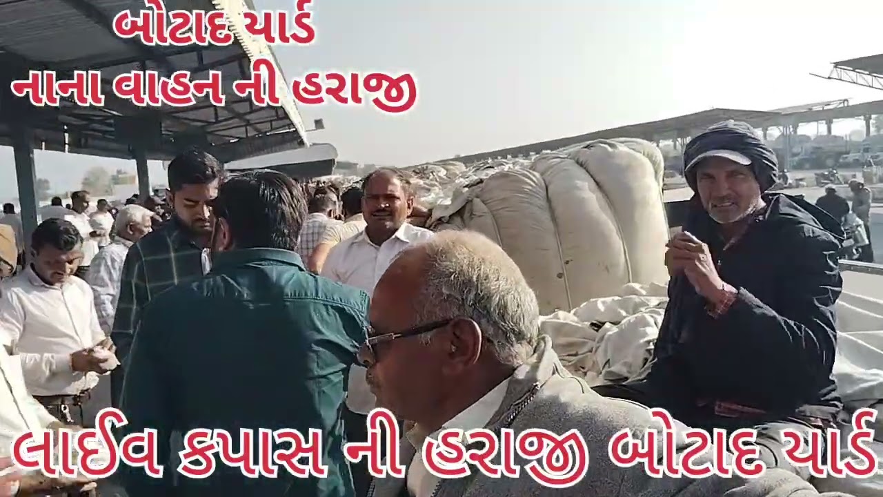 🟢 Botad Kapas na bhav|11-02-2026|બોટાદ કપાસના ભાવ2025| Information about cotton crop pric 