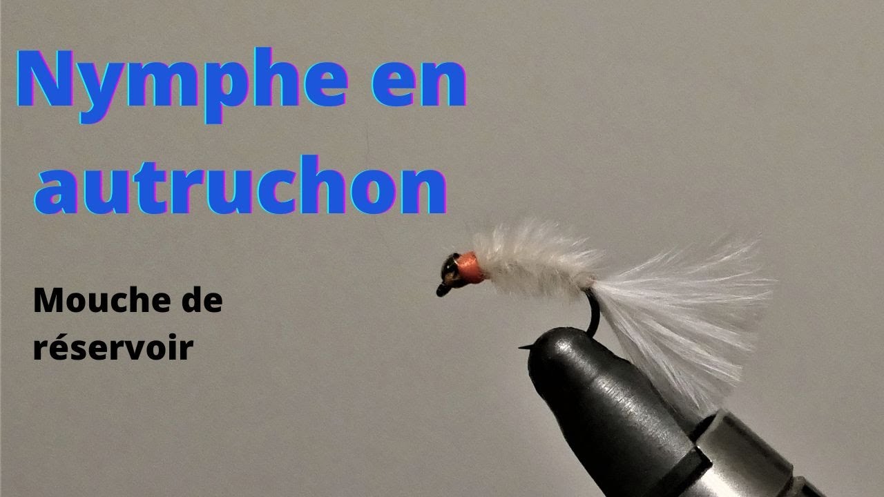 Mouche de r&eacute;servoir - l'autruchon