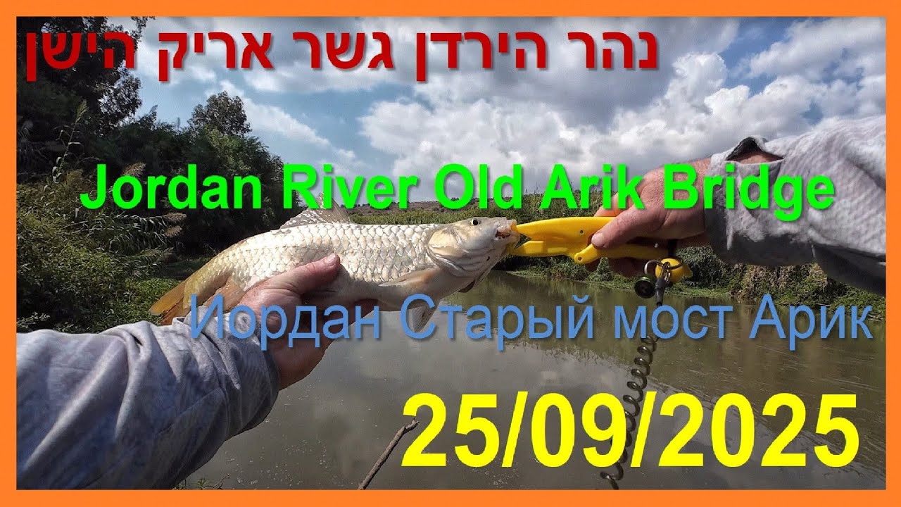 4K 25/09/2025 דיג בנהר הירדן גשר אריק הישן Fishing in the Jordan River Old Arik Bridge