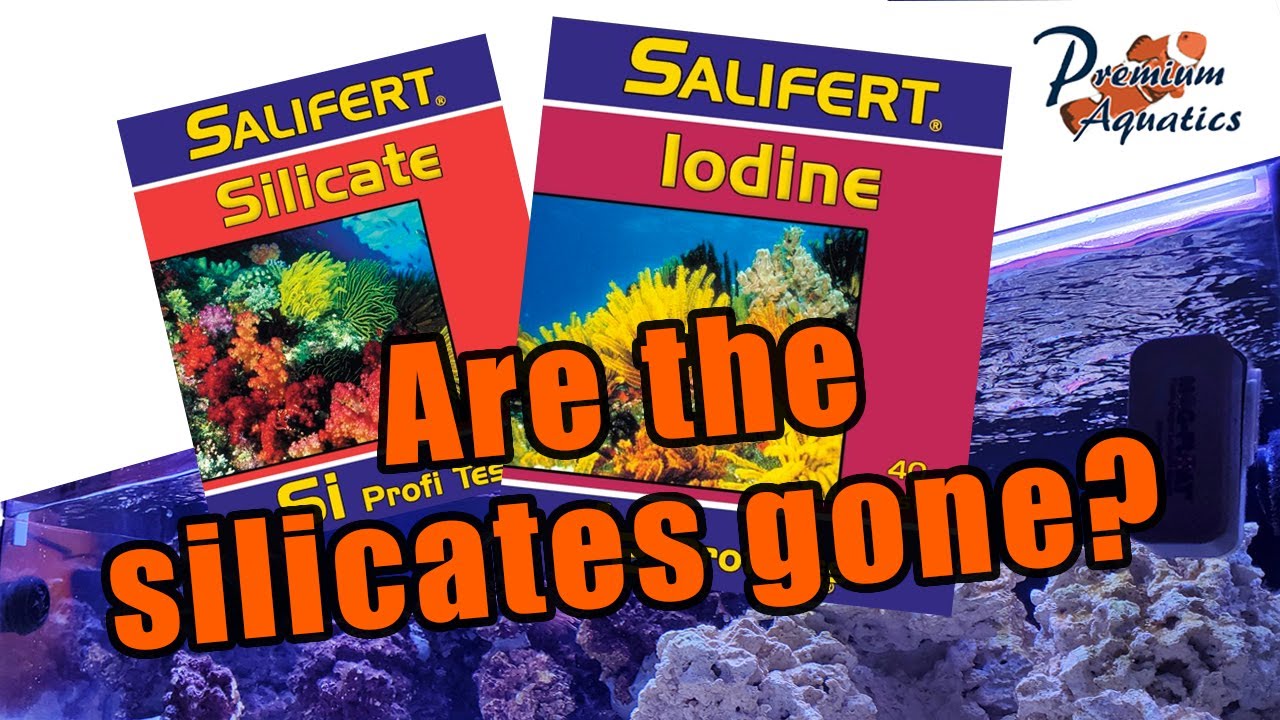 Tank Series - Those Pesky Silicates