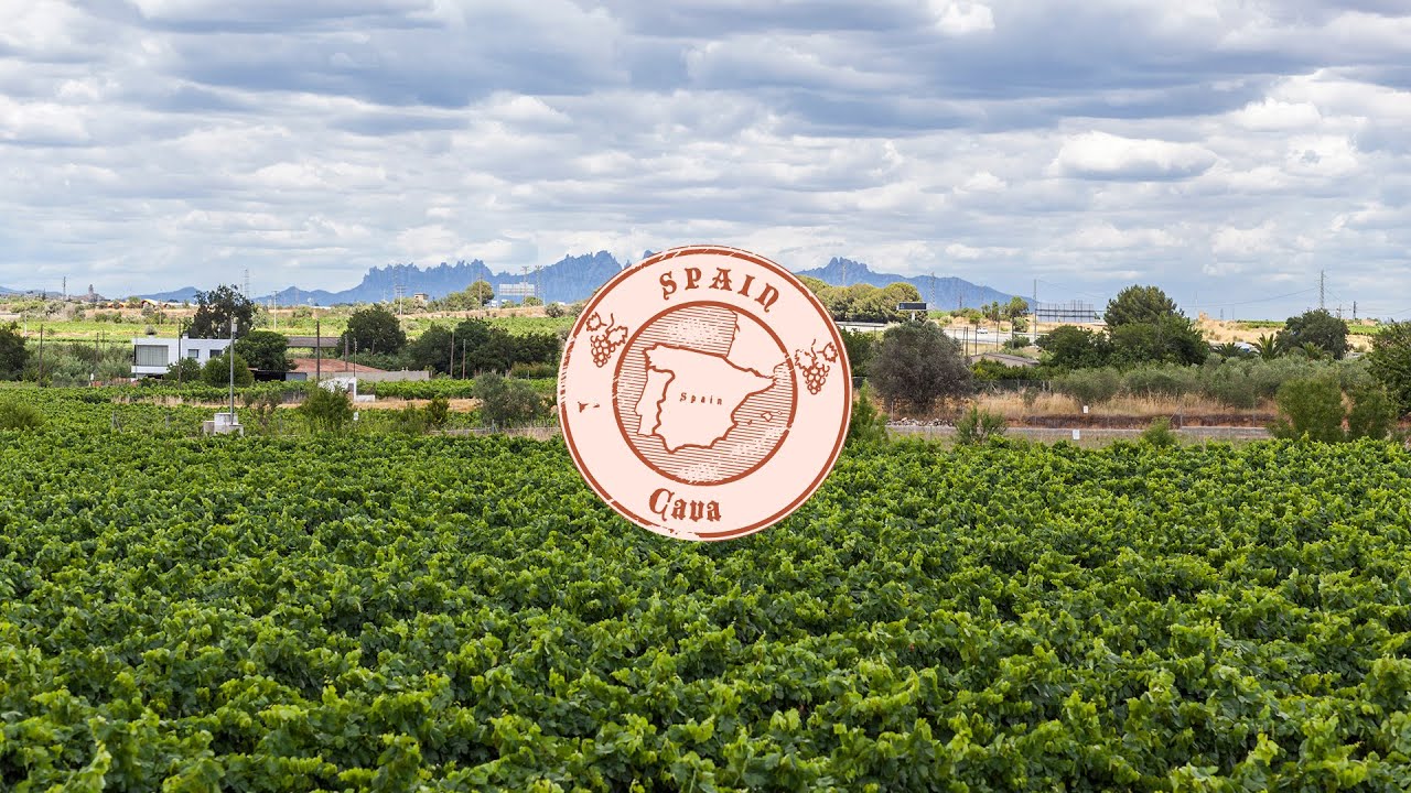 Cava - Wine Passport | Mondays With Mary Ep. 251
