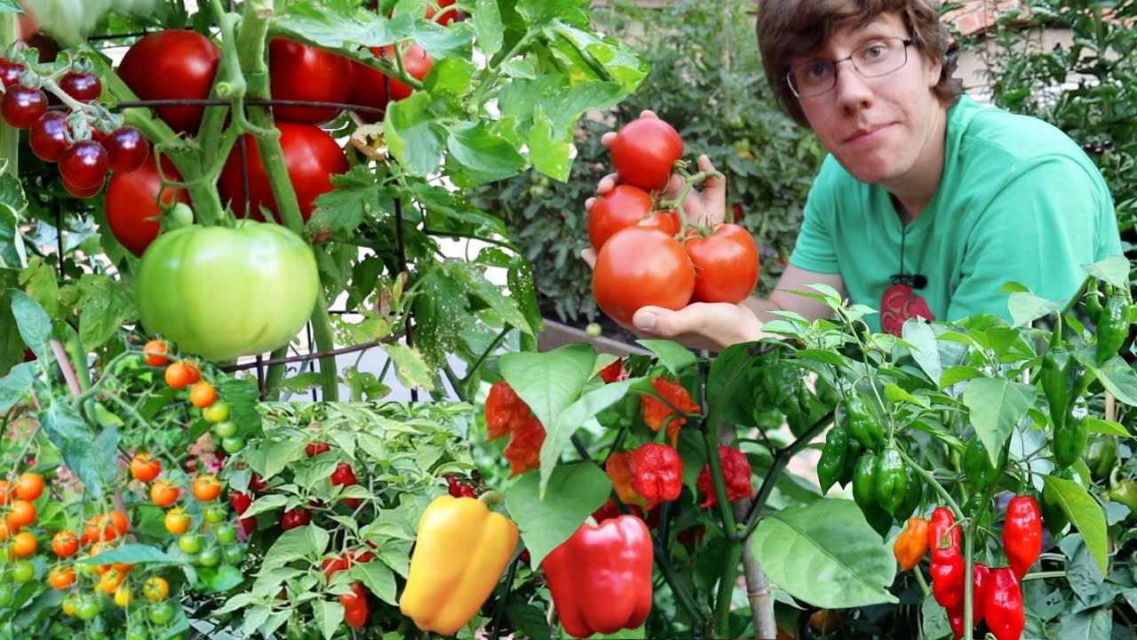 Garden Harvest Compilation 2
