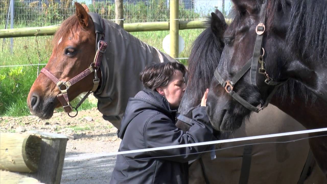 FILM de Présentation du Sémaphore de Brest