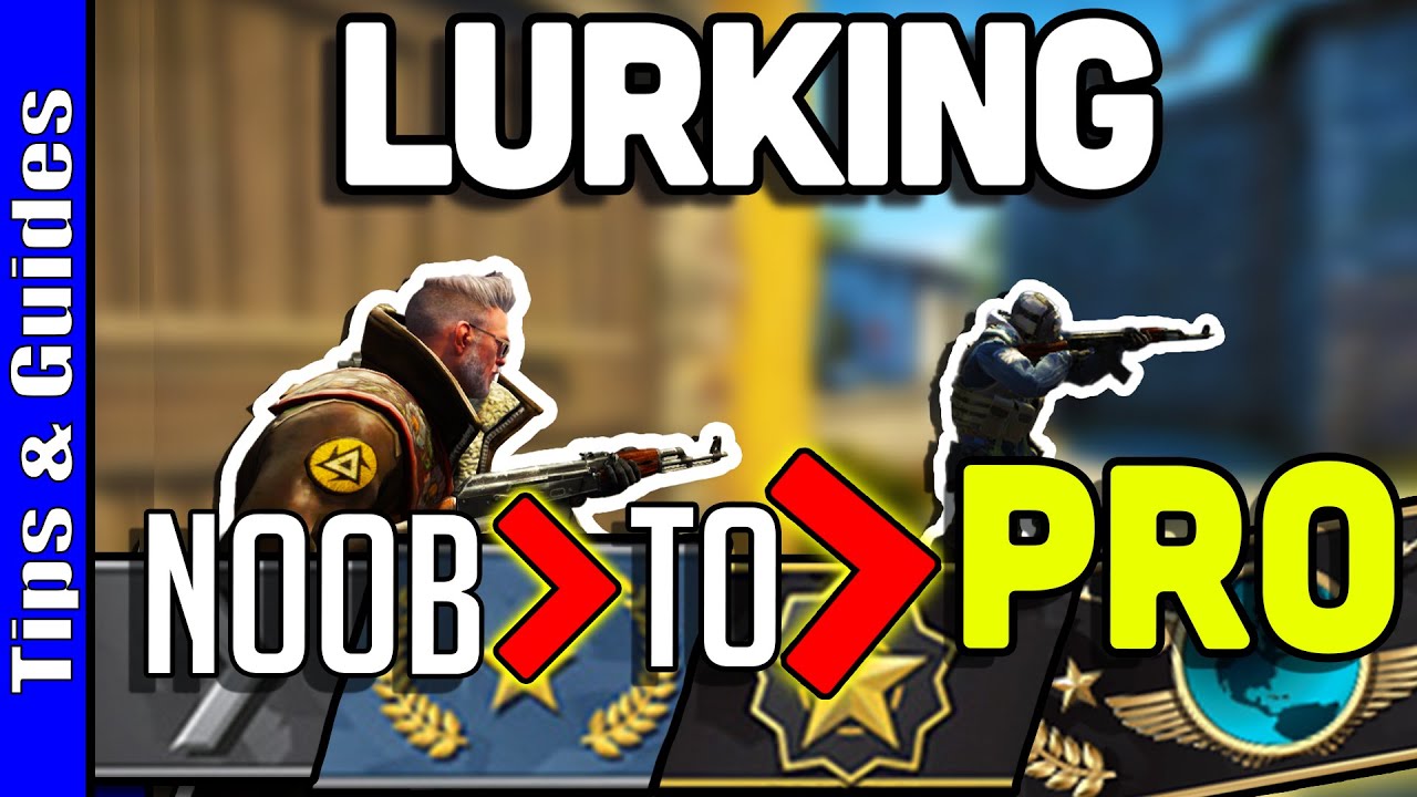 4 Levels of Lurkers : Beginner to Pro