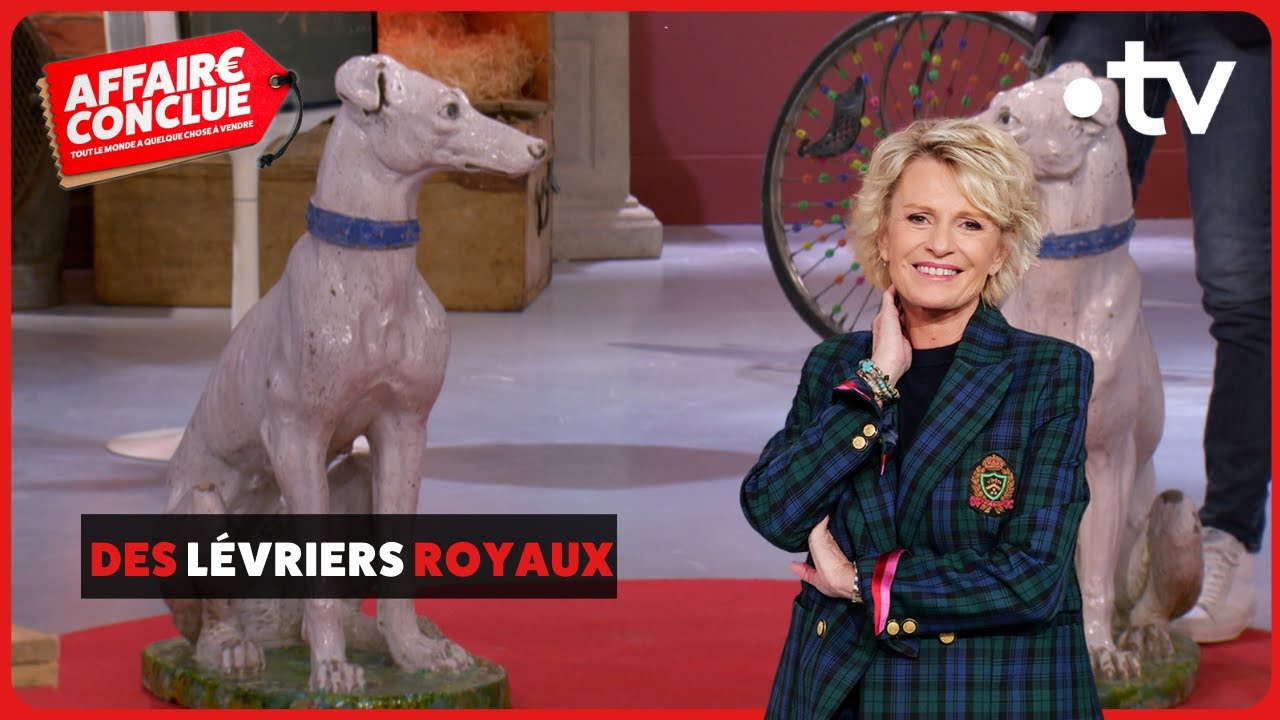 Des lévriers royaux⎮Affaire Conclue