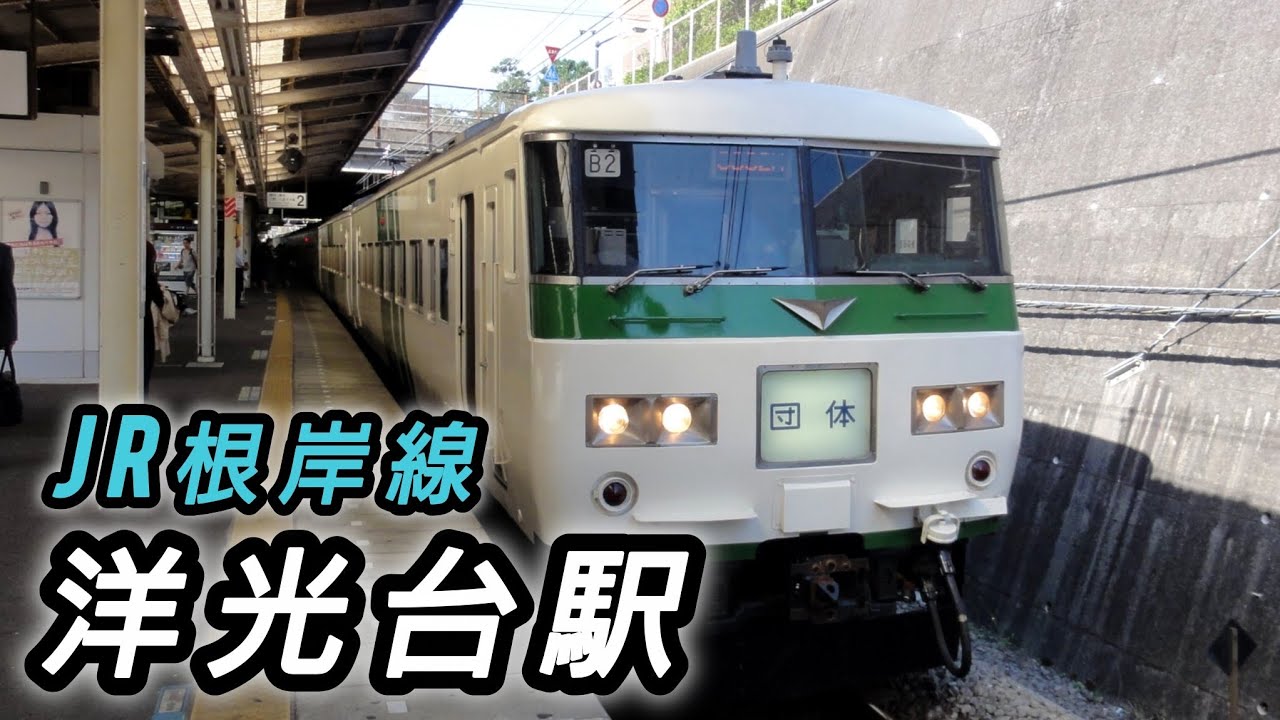 【激レア】185系B2編成 沼田行団体専用列車 到着＆発車