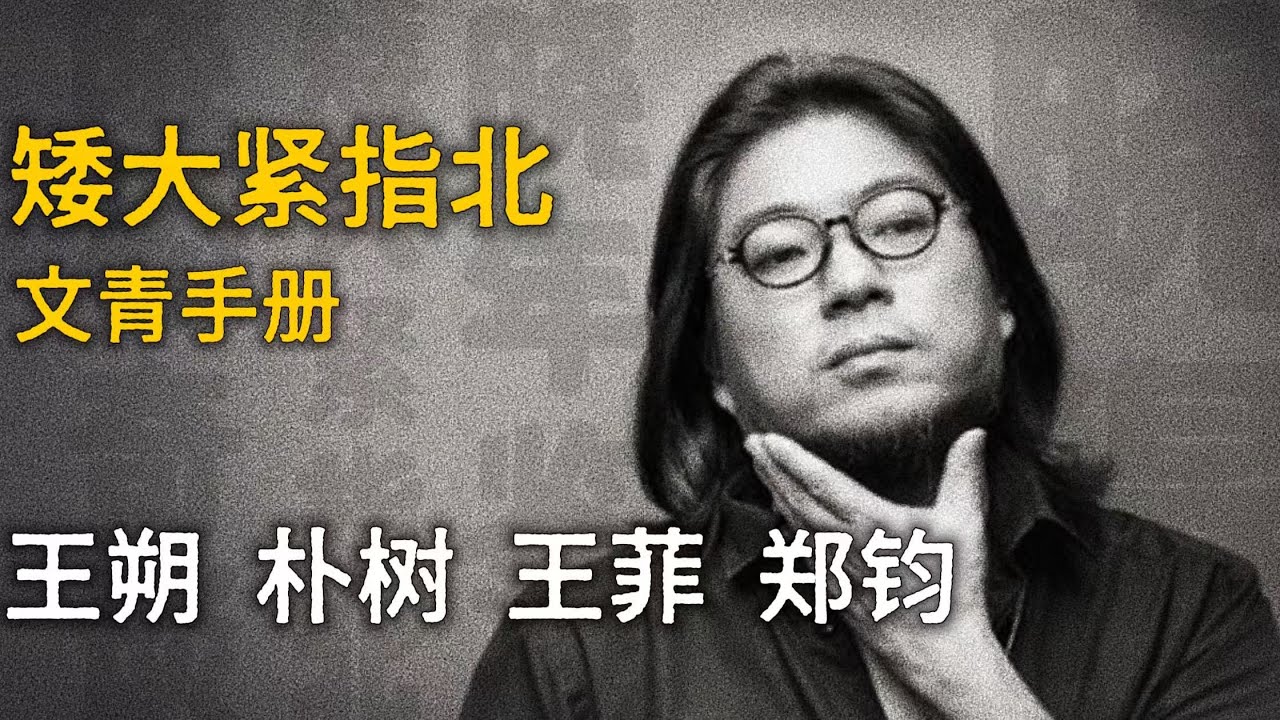 高晓松 / 王朔 / 朴树 / 王菲 / 郑钧【矮大紧指北】精选    #高晓松 #晓得 #矮大紧 #晓说 #晓松奇谈 #矮大紧指北
