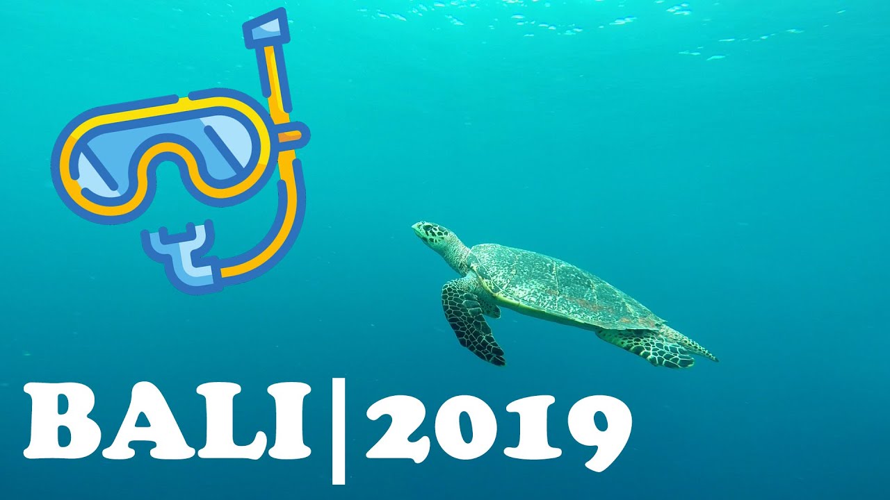 Snorkeling Bali 2019
