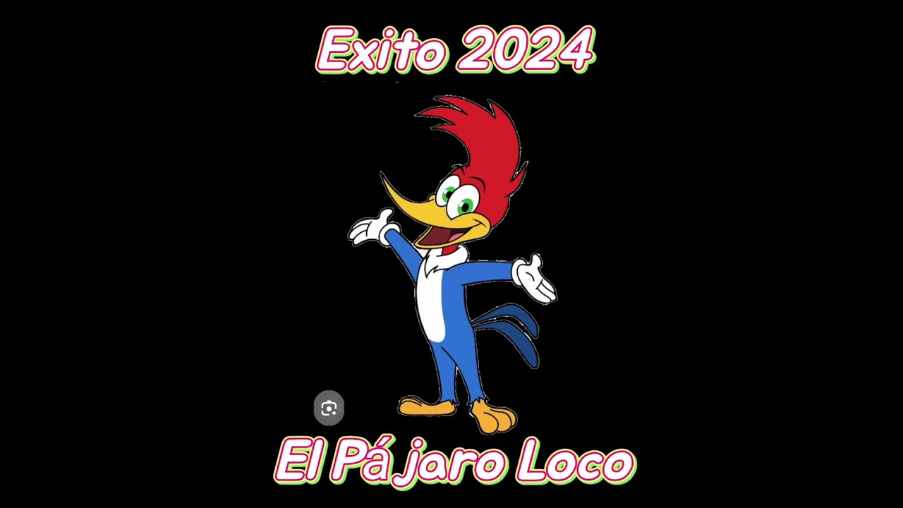 EL PAJARO LOCO ORQUESTA ZACATEPEC