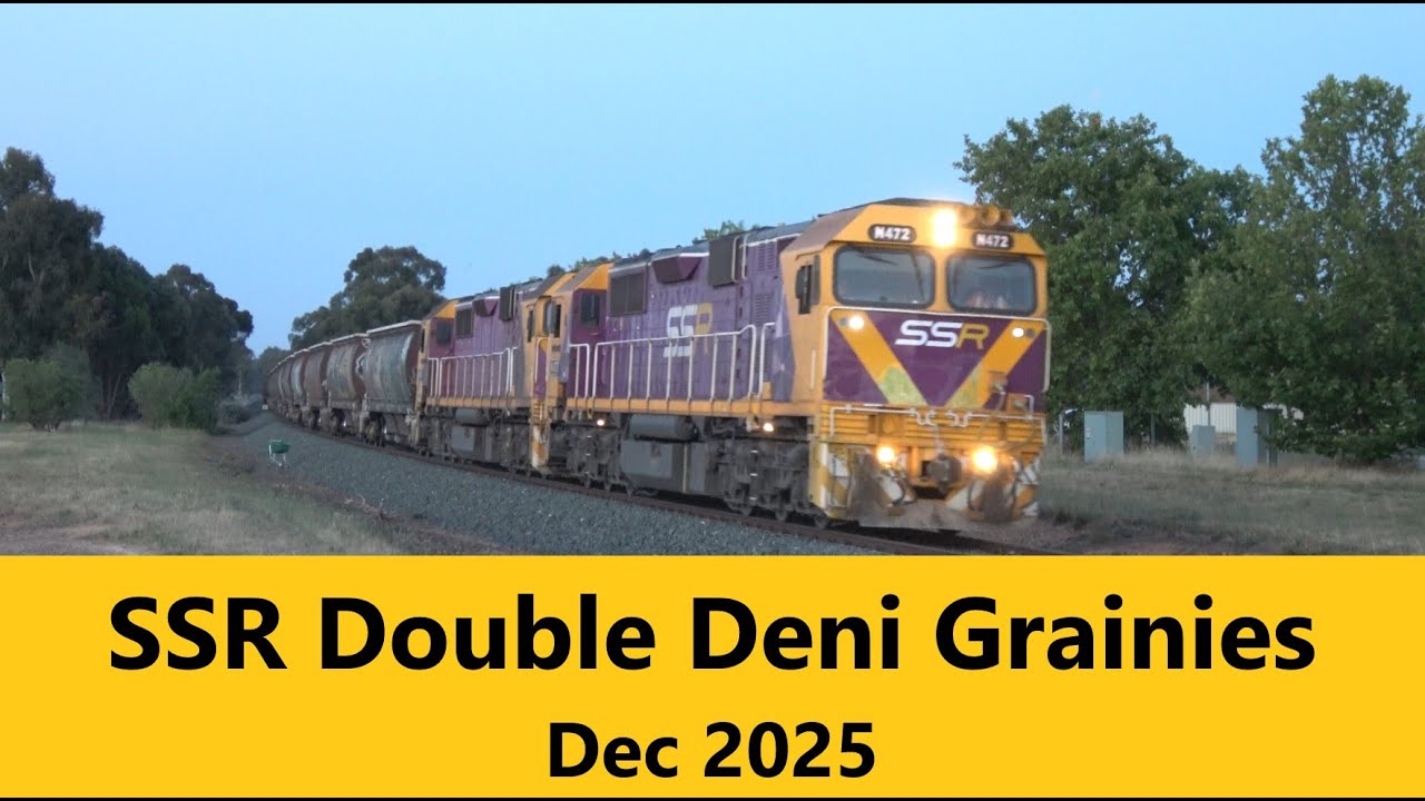 SSR Deni Double Grain Trains - Dec 2025